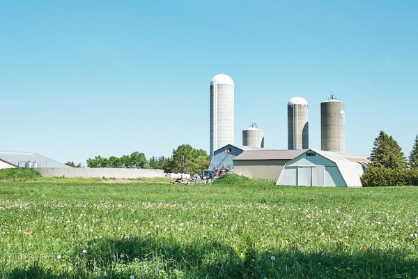 A field on a Canadian dairy farm