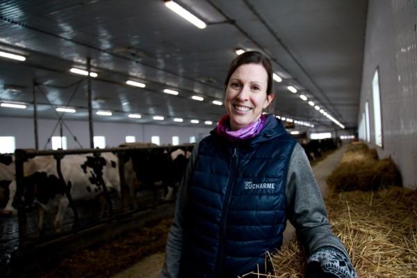 Should you be worried about hormones milk?