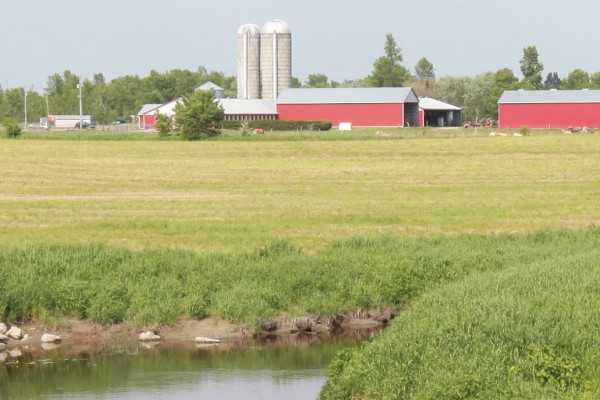 A farm with a pasture and a river