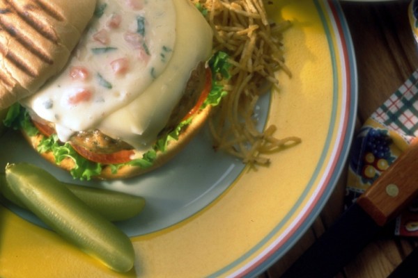 californian turkey burgers