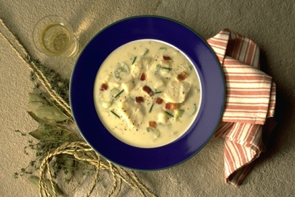 cheddar fish chowder