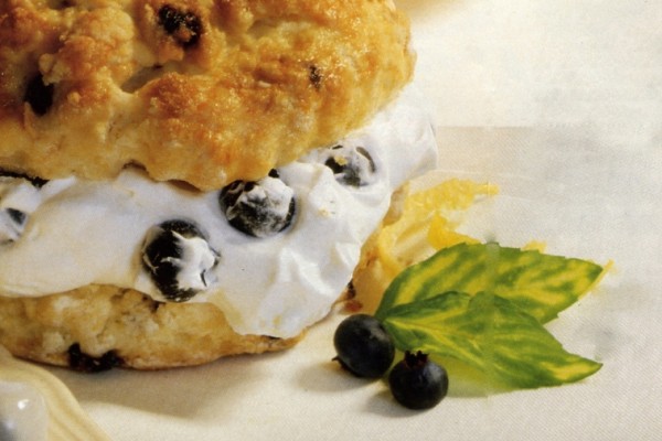 double blueberry shortcakes