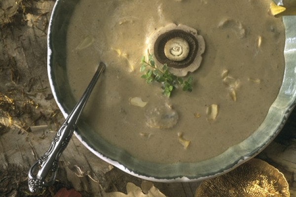 mushroom and almond cream soup