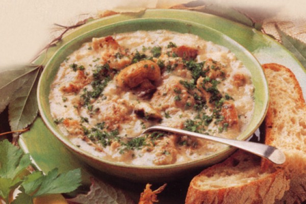 veal and mushroom stew