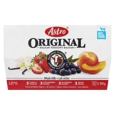 Astro® Original Balkan Yogurt Flavoured Peach / Strawberry / Blueberry / Vanilla 3.25% M.F. 12x100g