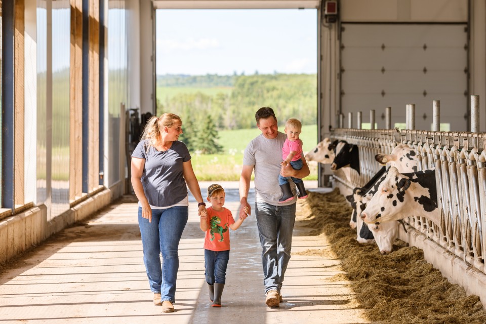 A farming family walks through their barn in the Maritimes