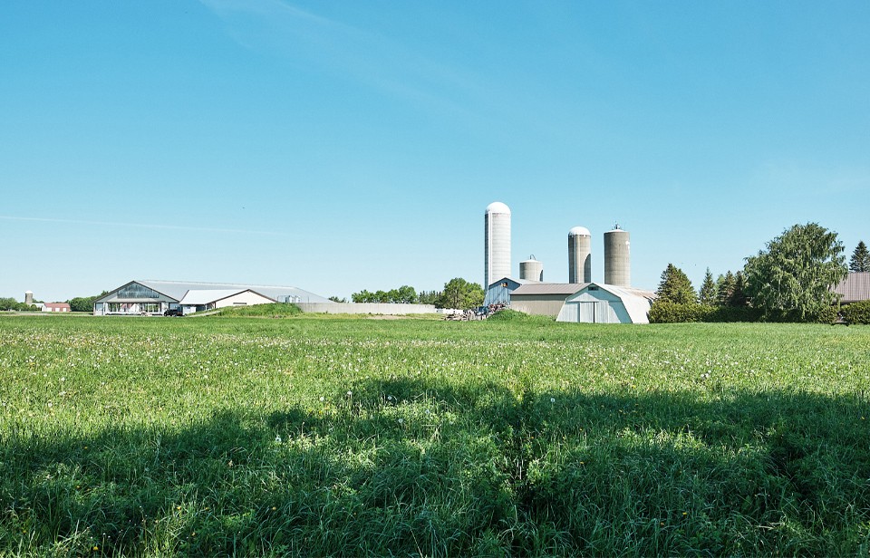 Field landscape with a dairy farm in the distance