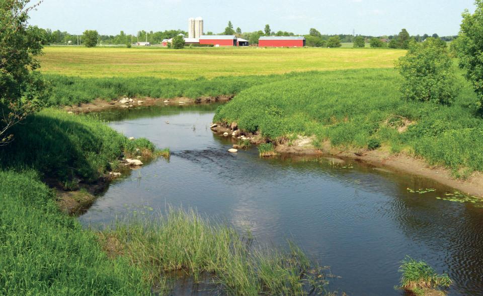 proAction Environment