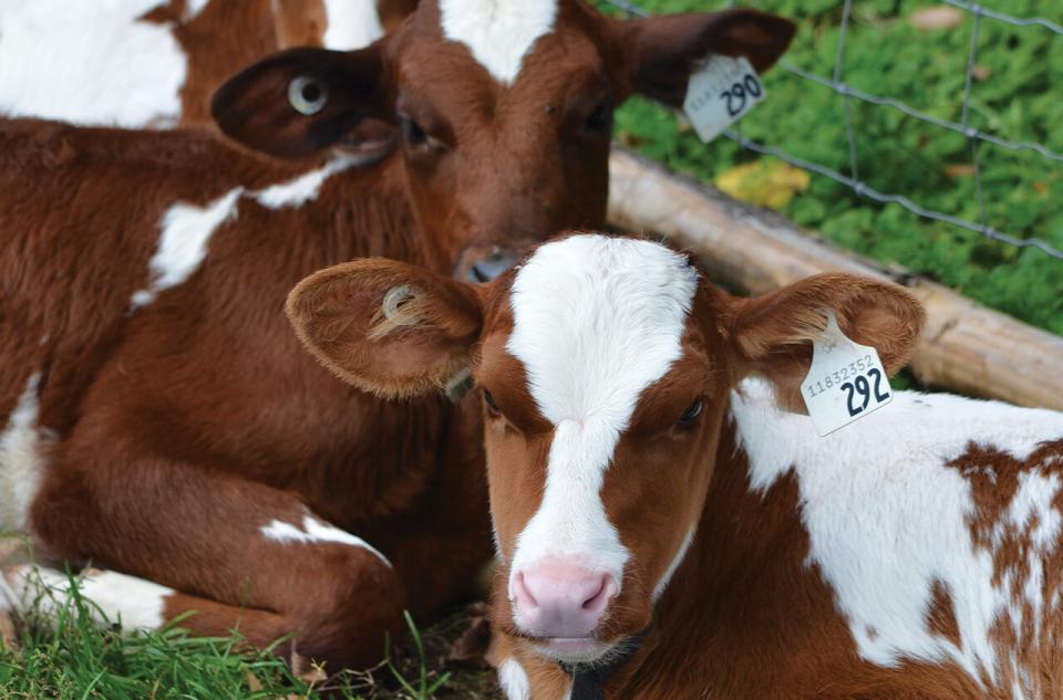 proAction traceability 
