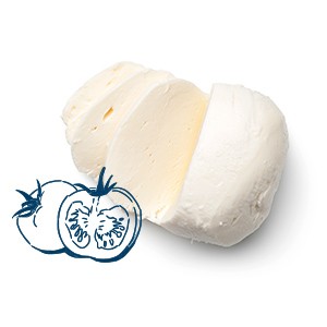 semisoft cheese taxonomy