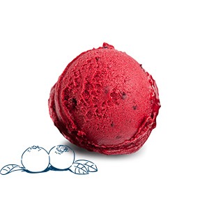 reduced fat ice cream image