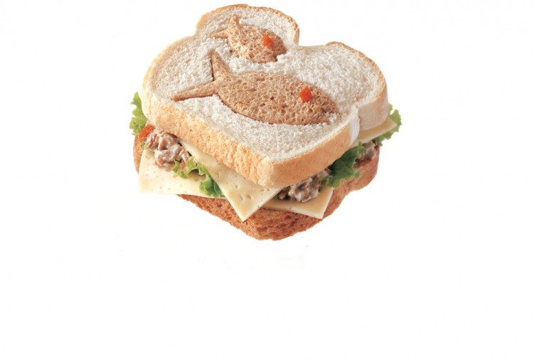 catch a tuna havarti cheese cut out