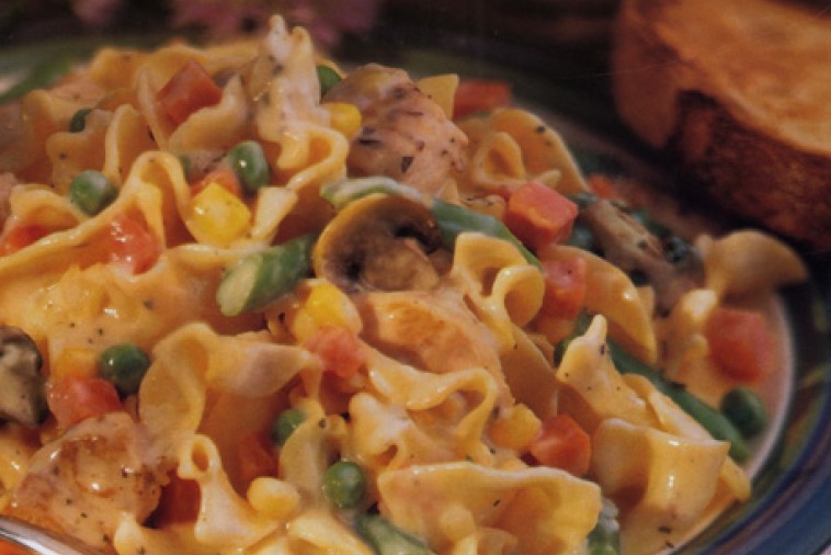 chicken noodle supper