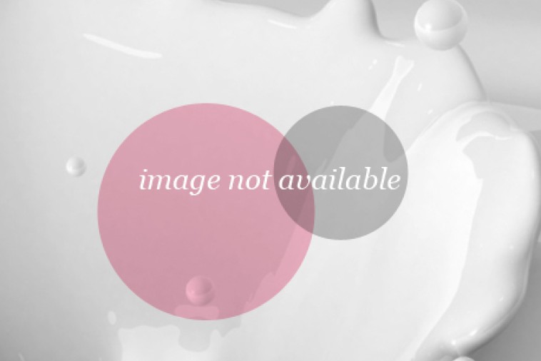easy no roll food processor pastry