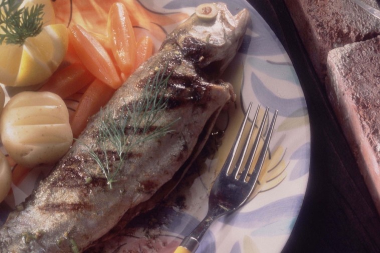 grilled trout with lime and fennel