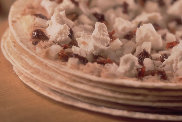 tuna wraps with sun dried tomatoes and bleubry cheese